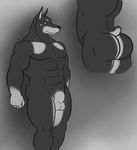  abs anus balls biceps big_muscles butt canine doberman dog grey_eyes male mammal muscles pecs sheath solo standing vamplust 