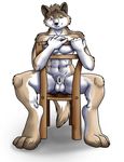  canine male nude penis sheath solo strider_orion wolf 
