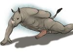  erection male mammal penis plain_background push_up pushup rhino rhinoceros solo white_background yaroul 