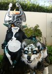  beastcub canine feral fursuit imp legend_of_zelda link_(wolf_form) midna rape_face real the_legend_of_zelda twilight_princess what what_has_science_done wolf 