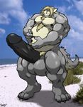  beach canine fat hyper male musclegut muscles penis rackun seaside solo tachi wolf 