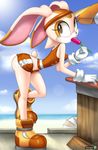  brown_eyes cream_the_rabbit female greenhand lagomorph mobian popsicle rabbit solo sonic_(series) tail 