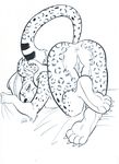  anus feline female lazzydragon leopard looking_at_viewer nude presenting pussy raised_tail solo tail 