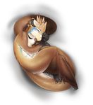  beak claws cute feathers gryphon hugging_tail male markings plain_background sleeping solo tail tsampikos white_background 