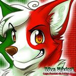  dog garury_kai male mammal mexico patriotic soccer solo 