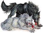  black blood canine feral pearleden white wolf 
