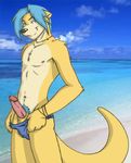  beach clothing erection male necklace otter outside penis seaside solo swimsuit topless 