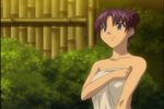  adult arm arms bamboo bare_shoulders blue_eyes female hair_up happy kisaragi_sayaka naked_towel plant purple_hair short_hair smile solo stratos_4 sunset towel twilight 