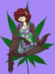  aerynoustinne female ferret high joint marijuana marten pine_marten shorts smoking solo stoned weed 
