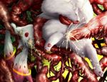  cum guro inuboe kyubey mahou_shoujo_madoka_magica no_humans penis rape realistic tentacles 