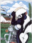  butt female honda james_m_hardiman motorcycle nude raised_tail skunk solo tail 