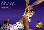  advertisement big_lips cadbury&#039;s_caramel_bunny cadbury_schweppes caramel_nibbles chocolate confectionery dress female lagomorph nightmare_fuel rabbit solo unknown_artist whiskers 