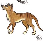  2008 feral fuchsia male solo thylacine 