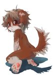  brown brown_eyes canine chest_tuft dog female grey_hair hair kneeling looking_at_viewer looking_over_shoulder pawpads short_hair solo tail unknown_artist 