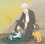  bad_id bad_pixiv_id cat closed_eyes grey_hair izanagi male_focus meji narukami_yuu persona persona_4 school_uniform sitting 