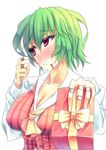  ascot bandaid bandaid_on_finger blush breasts cleavage embarrassed frown gift green_hair holding holding_gift incoming_gift kazami_yuuka kinntarou large_breasts plaid plaid_vest red_eyes short_hair solo touhou upper_body valentine vest 