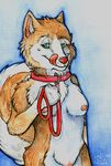  2007 breasts calypte canine collar dog female husky leash nude pussy solo walkies 