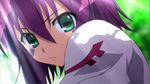  green_eyes merry_nightmare purple_hair tagme yumekui_merry 