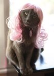  cat feline kittywigs photo real solo what wig 