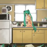  1girl bathing green_eyes green_hair hatsune_miku kitchen microwave nude refrigerator solo twintails vocaloid 