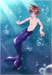  kingdom_hearts laur male merboy mermaid merman solo sora topless underwater 