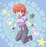  akihara_ryou bird blue_eyes braid cat chinese_clothes duck full_body genderswap genderswap_(mtf) hibiki_ryouga long_hair mousse mousse_(duck) p-chan pig ranma-chan ranma_1/2 red_hair saotome_ranma shampoo_(ranma_1/2) single_braid tangzhuang 