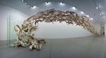  art cai_guo-qiang canine feral furpile head_on macabre photo real uhoh what wolf 