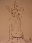  color dribble hi_res kneeling lagomorph male mammal rabbit solo underwear 