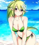  acage bad_id bad_pixiv_id bikini breasts brown_eyes cleavage elf elsword green_hair highres large_breasts long_hair pointy_ears ponytail rena_(elsword) side-tie_bikini solo swimsuit wind_sneaker_(elsword) 