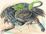  ambiguous_gender avian chimera eagle feline gryphon lion looking_at_viewer lyanti markings snake unusual_coloring 