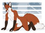  all_fours canine etuix fox male mammal nude sheath solo watermark 