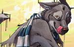  canine keto licking licking_lips male mammal november scarf solo tongue wolf 