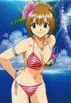  bare_shoulders beach bikini blue_sky bracelet breasts brown_eyes brown_hair cleavage cloud clouds elie female flower hair_ornament highres hips jewelry large_breasts legs looking_at_viewer nail_polish nature navel necklace ocean outdoors palm_tree plant rave rave_master short_hair sky smile solo standing swimsuit thighs tree water 