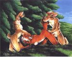  canine female fox hare heather_bruton lagomorph male oral predator_prey sex spitroast straight threesome turnabout 