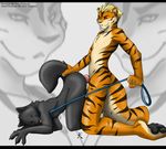  amber_eyes anal anal_penetration bent_over canine canine_penis collar dog feline gay husky knot leash looking_at_viewer male nude penetration penis raised_tail sex straydog tail tiger wolf 