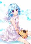  :3 bare_arms blue_hair cathead hairband hatachi looking_at_viewer o_o original purple_eyes ribbon short_hair sitting solo stuffed_animal stuffed_toy wings 