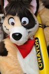  bandanna brown_eyes canine char crayon dog ears frisbee_(character) fursuit hi_res mammal photo pose real yellow_crayon 