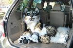  2009 beastcub canine feral fursuit legend_of_zelda photo piercing real solo the_legend_of_zelda twilight_princess vehicle wolf 