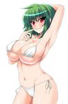  bikini blush breasts female green_hair grin kazami_yuuka large_breasts naughty_face pink_eyes sawa_(snack_yoshie) short_hair simple_background smile solo swimsuit touhou waki waribasi youkai 