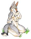  breasts canine coyote female korrok nude solo 