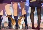  bag black_legwear blazer cat close-up jacket kneepits lower_body multiple_girls original pantyhose petals pleated_skirt school_bag school_uniform shoes skirt socks twinpoo waist_down 