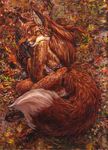  autumn canine female forest fox leaves lying monika_livingstone solo tree 
