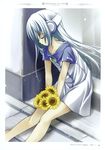  absurdres blue_hair flat_chest flower flower_(kowarekake) goma_(matsuiya) headphones highres kowarekake_no_orgel long_hair non-web_source solo sunflower 