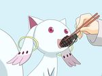  blue_background chopsticks eating explosive feeding flat_color grenade kyubey mahou_shoujo_madoka_magica open_mouth pink_eyes simple_background solo_focus 