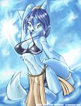  2005 beach blue canine cleavage female fox green_eyes hair krystal loincloth looking_at_viewer markings seaside solo standing star_fox stretching tail tail_band tailsrulz underwear video_games water 