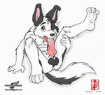  autofellatio balls border_collie canine cum dog fellatio jesse knot looking_at_viewer male masturbation nude oral oral_sex penis self_service sex sheath solo tail tongue wolfblade 