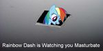  equine female friendship_is_magic funny horse meme my_little_pony pony rainbow_dash_(mlp) 