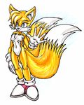  blue_eyes canine cgmyers crossgender female fox illys kitsune mobian multiple_tails solo sonic_(series) tail tailsko 