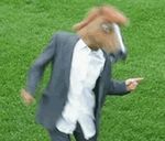  dancing equine gif horse human low_res mammal mask real solo what 