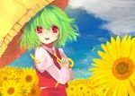  ascot bad_id bad_pixiv_id blush chirosuke flower green_hair highres kazami_yuuka plaid plaid_skirt plaid_vest red_eyes short_hair skirt skirt_set smile solo sunflower touhou umbrella vest 